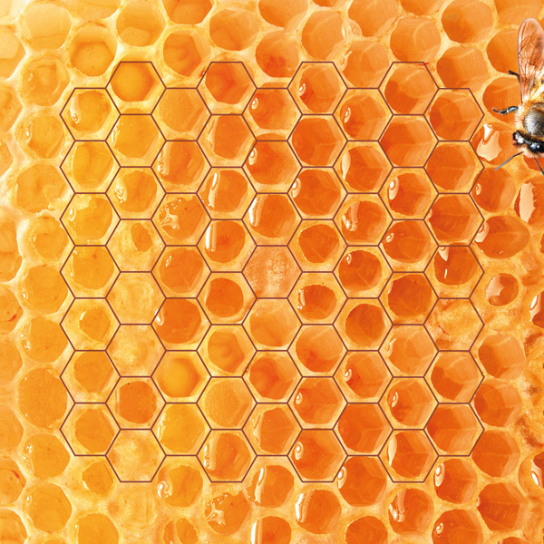 Honeycomb Playmat 35x35cm Customeeple