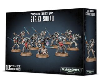 PRO-PAINTED Grey Knights Strike Squad Squad Kill Team COMMISSION 10 models 