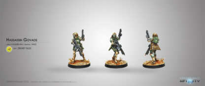 Hassassins Govads (HMG)
