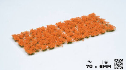 Orange Flowers