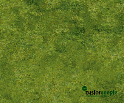 Grass PVC Playmat - Image 2