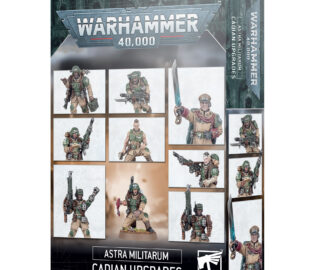 Boarding Patrol: Aeldari – Warforged Gaming LLC