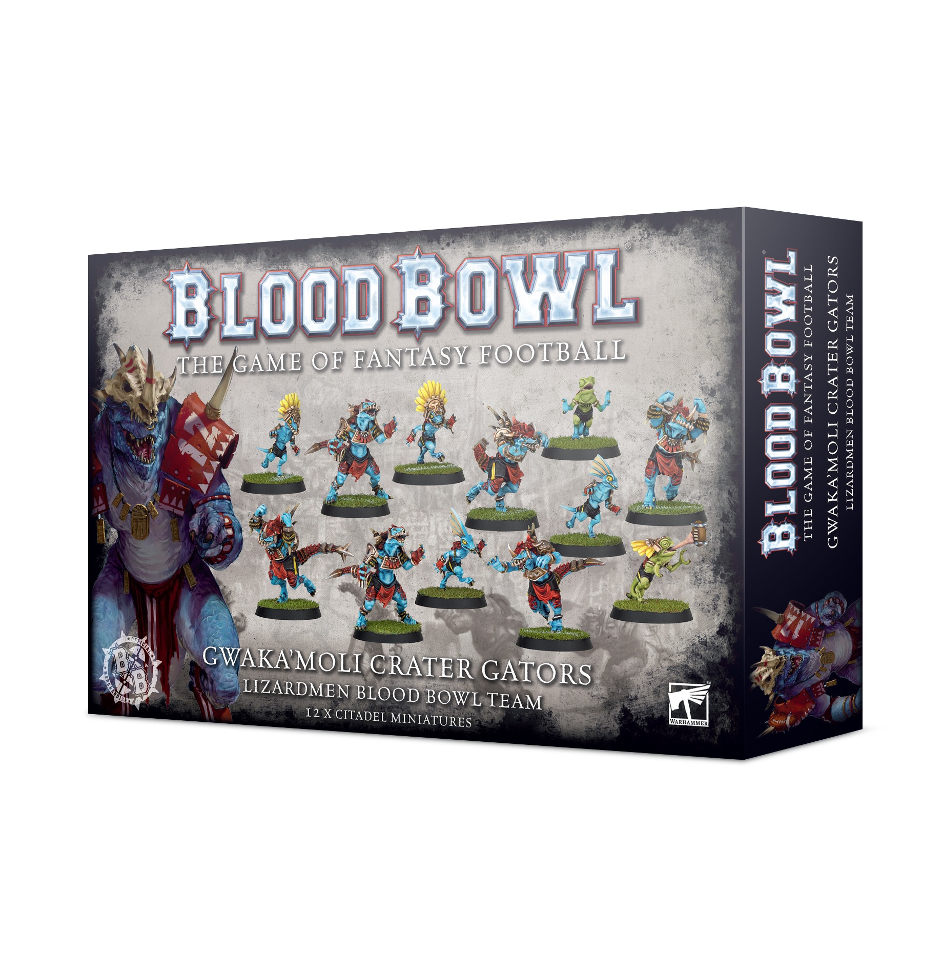 Lizardmen Blood Bowl Team: Gwaka´Moli Crater Gators