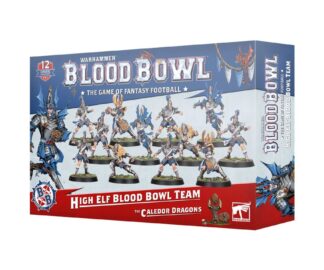 BLOOD BOWL: HIGH ELF BLOOD BOWL TEAM