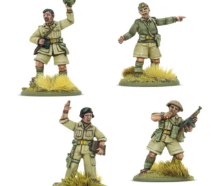 British 8th Army platoon commanders