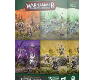 WHU Chaos Warbands: Reavers of Ruin